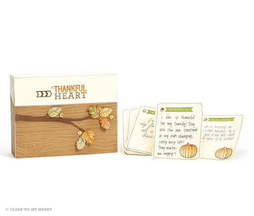 14-ai-thankful-heart-gratitude-card-box-and-cards