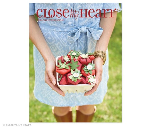 1504-se-cover