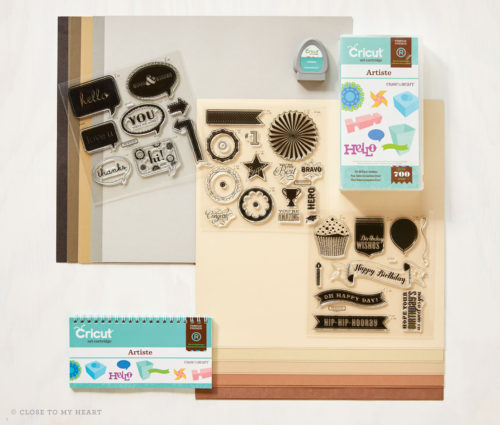 15-ai-cricut-artiste-collection