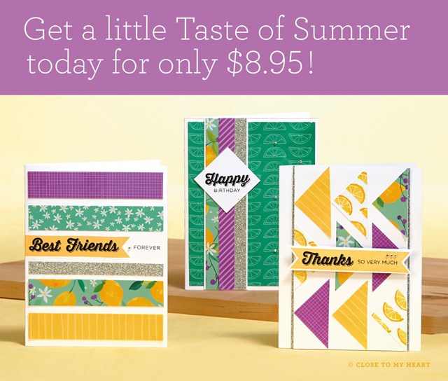 Taste of Summer Paper Packet