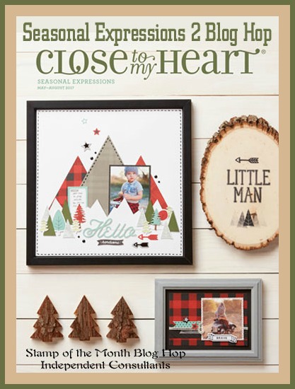 Seasonal Expressions 2 New Product Blog Hop
